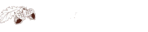 Мебель из дуба на заказ